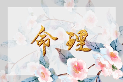 择吉老皇历,老皇历,汉典老皇历